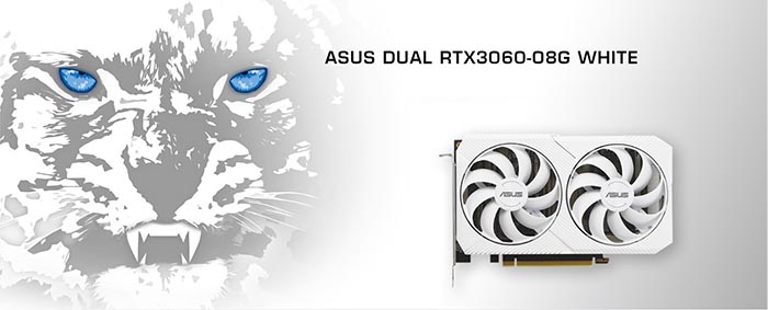 TNC Store Card Màn Hình Asus Dual Geforce RTX 3060 O8G White